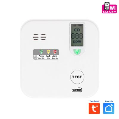 Home CO10 Smart
